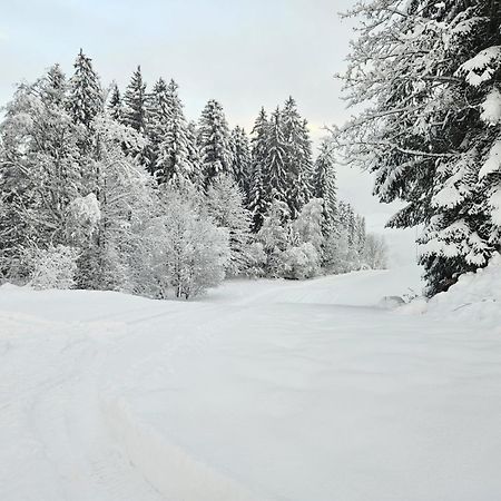 Alpen Studio Ellmau II Buitenkant foto