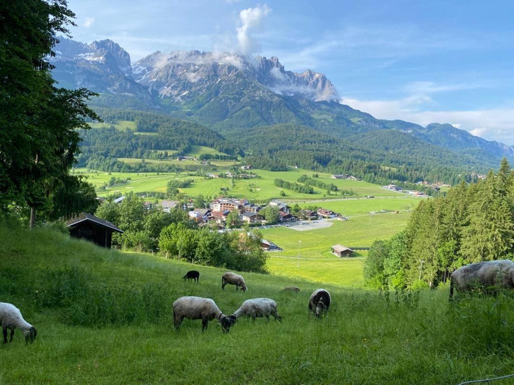 Alpen Studio Ellmau II Buitenkant foto