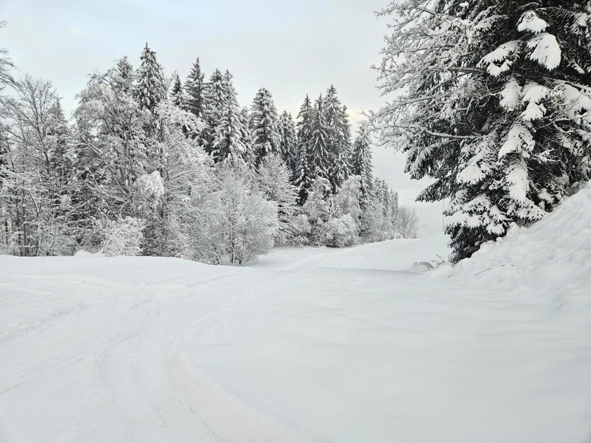 Alpen Studio Ellmau II Buitenkant foto